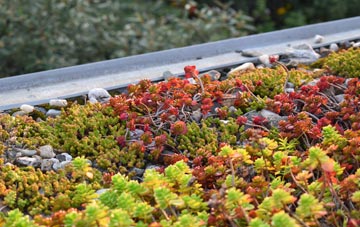 the cost of Lidgett Park green roof installation